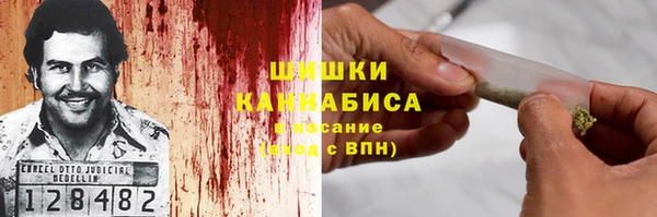 индика Кинешма