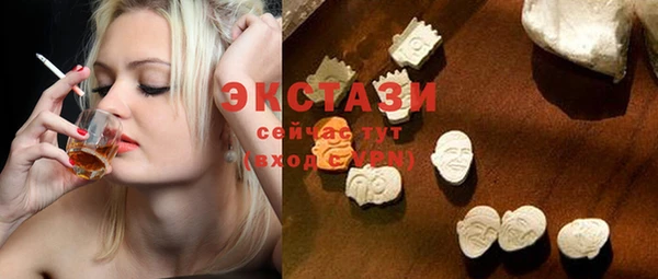 индика Кинешма