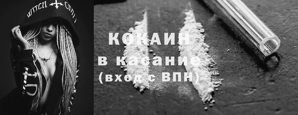 индика Кинешма