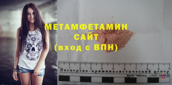 индика Кинешма