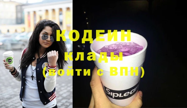 индика Кинешма