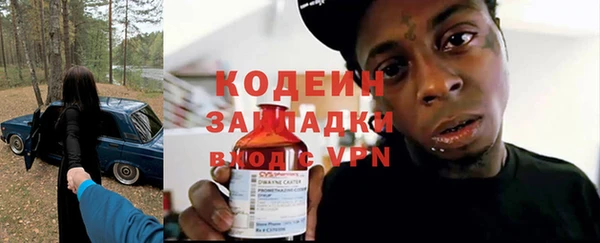 индика Кинешма