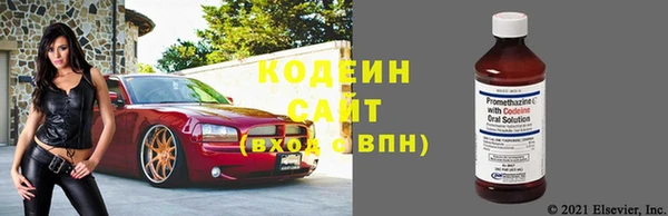 индика Кинешма