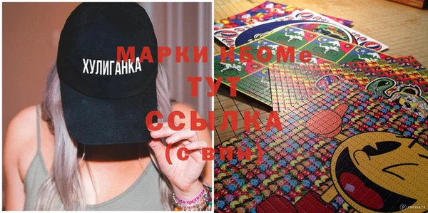 индика Кинешма