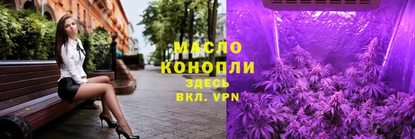 индика Кинешма