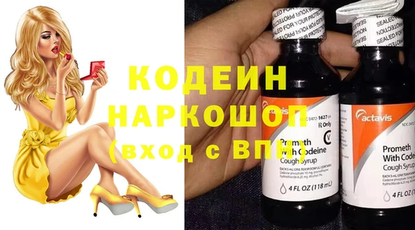 индика Кинешма
