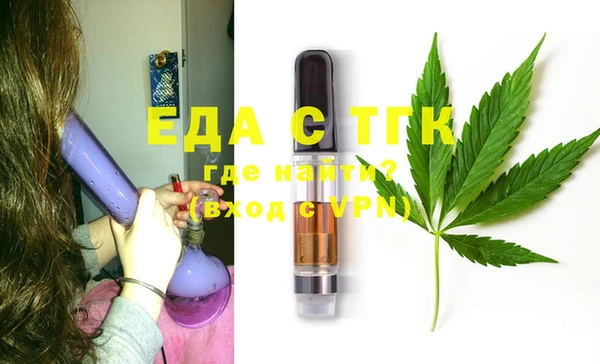 индика Кинешма